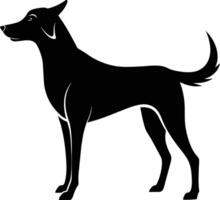 Black and white silhouette of a Hunting dog standing vector