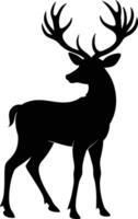 A black silhouette of a whitetail deer standing on a white background vector