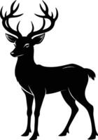 A black silhouette of a whitetail deer standing on a white background vector