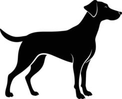 Black and white silhouette of a Hunting dog standing vector