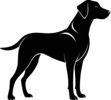 Black and white silhouette of a Hunting dog standing vector