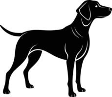 Black and white silhouette of a Hunting dog standing vector