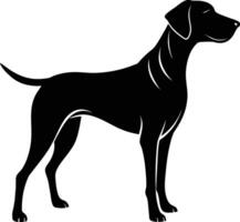 Black and white silhouette of a Hunting dog standing vector