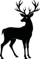 A black silhouette of a whitetail deer standing on a white background vector