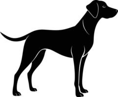 Black and white silhouette of a Hunting dog standing vector