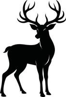 A black silhouette of a whitetail deer standing on a white background vector