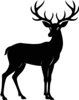 A black silhouette of a whitetail deer standing on a white background vector