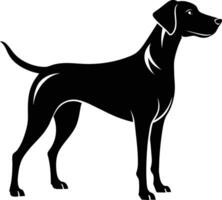 Black and white silhouette of a Hunting dog standing vector