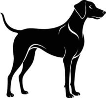 Black and white silhouette of a Hunting dog standing vector