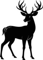 A black silhouette of a whitetail deer standing on a white background vector