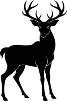 A black silhouette of a whitetail deer standing on a white background vector