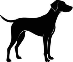 Black and white silhouette of a Hunting dog standing vector