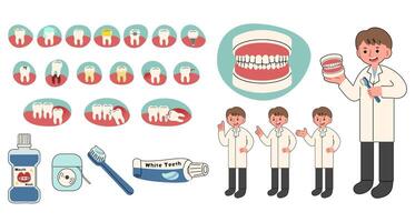 Dental collection 2 on a white background, illustration. vector