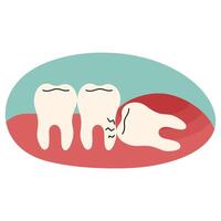 Wisdom teeth single cute on a white background, illustration. vector