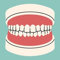 Model Teeth single cute on a blue-green background, illustration. vector