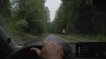 A trip along a wooded road video