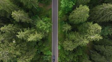 Aerial view of car on forest road video