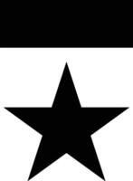 Star icon symbol image for rangking or rating reward vector
