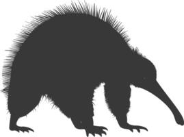 Silhouette Anteater animal black color only full body vector