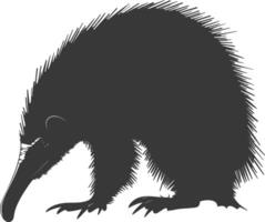 Silhouette Anteater animal black color only full body vector