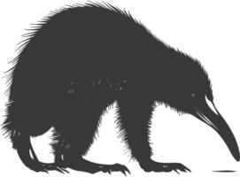 Silhouette Anteater animal black color only full body vector