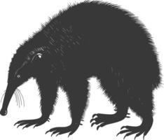 Silhouette Anteater animal black color only full body vector