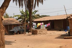 Village in the north of Benin with the name Kalale. The tribal people have their own language and live from farming. Many houses are mud houses. photo