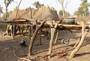 pueblo en el norte de benin con el nombre Kalale. el tribal personas tener su propio idioma y En Vivo desde agricultura. muchos casas son barro casas foto