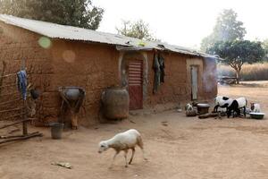 pueblo en el norte de benin con el nombre Kalale. el tribal personas tener su propio idioma y En Vivo desde agricultura. muchos casas son barro casas foto