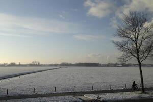 Winter landscape in the netherlands photo