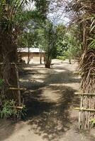 barro casas en pueblo en benin foto