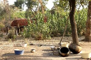 african cooking pots photo