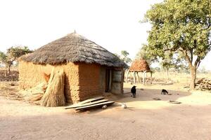 barro casas en pueblo en benin foto