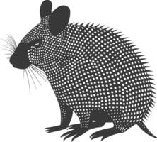 Silhouette armadillo animal black color only full body vector