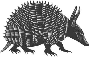 Silhouette armadillo animal black color only full body vector