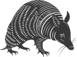 Silhouette armadillo animal black color only full body vector