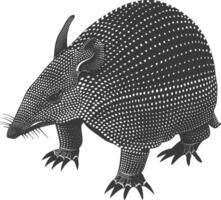 Silhouette armadillo animal black color only full body vector