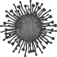 silueta virus negro color solamente lleno cuerpo vector