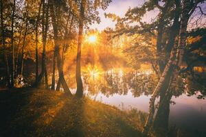 Dawn on a lake or river with a sky reflected in the water, birch trees on the shore and the sunbeams breaking through them and fog in autumn. Aesthetics of vintage film. photo