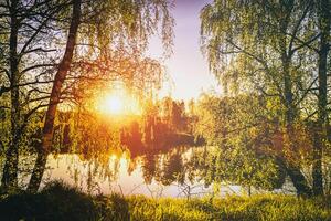 Sunrise on a pond with birch trees growing along the banks and the sky reflected in the water in summer. photo