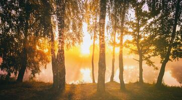 Dawn on a lake or river with a sky reflected in the water, birch trees on the shore and the sunbeams breaking through them and fog in autumn. Aesthetics of vintage film. photo