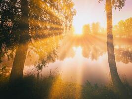 amanecer en un lago o río con un cielo reflejado en el agua, abedul arboles en el apuntalar y el rayos de sol rotura mediante ellos y niebla en otoño. estética de Clásico película. foto