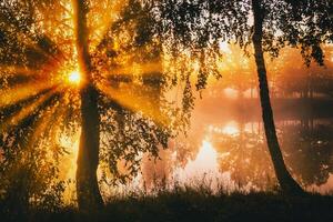 Dawn on a lake or river with a sky reflected in the water, birch trees on the shore and the sunbeams breaking through them and fog in autumn. Aesthetics of vintage film. photo