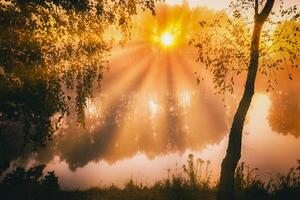 amanecer en un lago o río con un cielo reflejado en el agua, abedul arboles en el apuntalar y el rayos de sol rotura mediante ellos y niebla en otoño. estética de Clásico película. foto