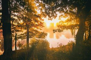 Dawn on a lake or river with a sky reflected in the water, birch trees on the shore and the sunbeams breaking through them and fog in autumn. Aesthetics of vintage film. photo