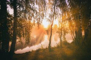 amanecer en un lago o río con un cielo reflejado en el agua, abedul arboles en el apuntalar y el rayos de sol rotura mediante ellos y niebla en otoño. estética de Clásico película. foto