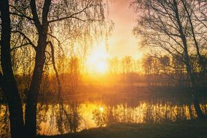 amanecer en un lago o río con un cielo reflejado en el agua, abedul arboles en el apuntalar y el rayos de sol rotura mediante ellos y niebla en otoño. estética de Clásico película. foto