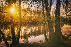 amanecer en un lago o río con un cielo reflejado en el agua, abedul arboles en el apuntalar y el rayos de sol rotura mediante ellos y niebla en otoño. estética de Clásico película. foto