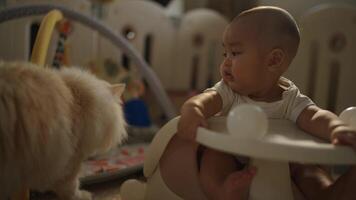 une bébé est séance sur une haute chaise suivant à une chat. le bébé est en portant une Balle dans le sien main video