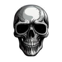 Skull head illustration png